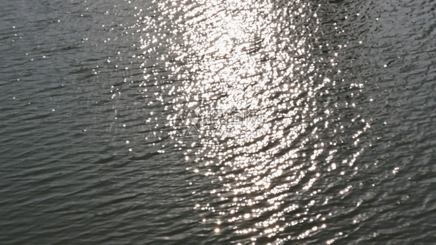 户外波光粼粼的湖水反光gif动图图片-正版gif素材401148933-摄图网