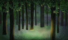 夜幕森林图片