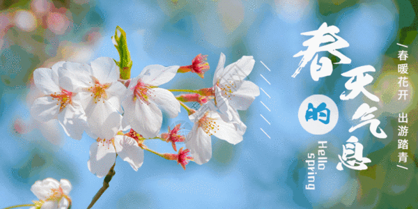 春天的气息公众号封面配图GIF图片
