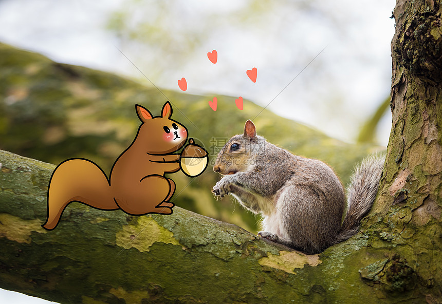 创意松鼠求爱
