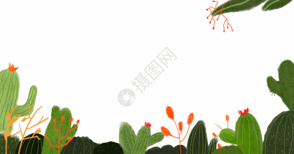 茶叶树枝仙人掌背景素材  gif高清图片