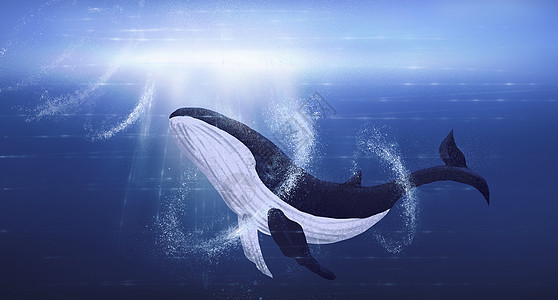 孤独的鲸鱼背景图片