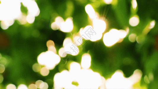 春天景色gif图片素材