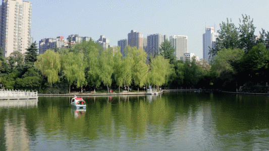 绿色环保建筑公园绿化游人小船4K航拍合集GIF高清图片