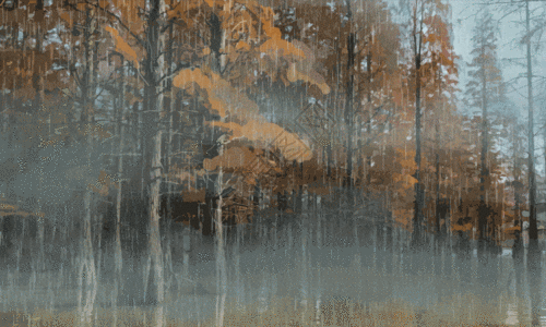 雨来的森林 gif图片