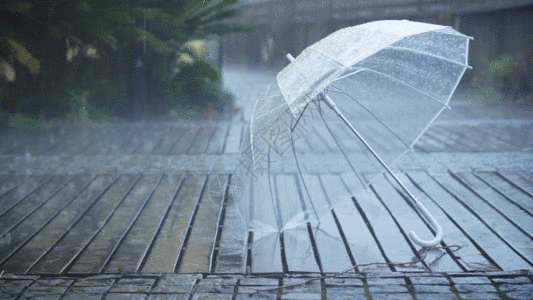 雨天路边的雨伞GIF图片