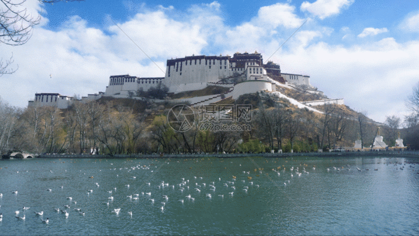 摄图网为您提供gif动图正版 gif动态图片下载,该gif动态图片标题为