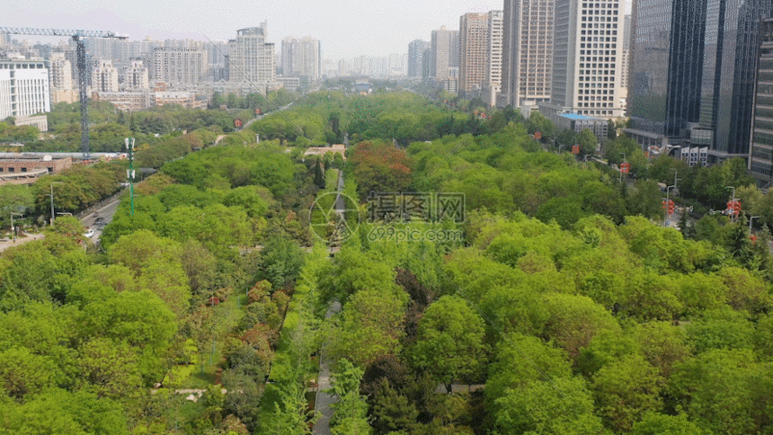 城市绿树gif动图图片-正版gif素材401217447-摄图网