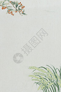清新植物背景图片