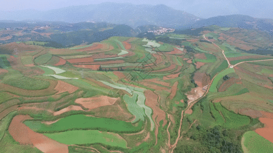 农业风景云南东川红土地梯田航拍GIF高清图片