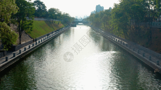 城市绿化河流GIF景色高清图片素材