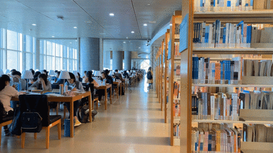 图书馆学习的人GIF图片