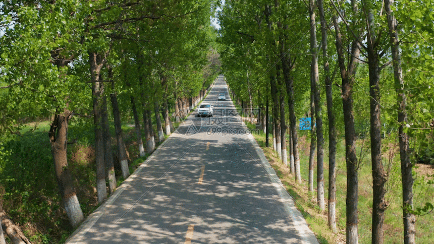 摄图网为您提供gif动图正版 gif动态图片下载,该gif动态图片标题为