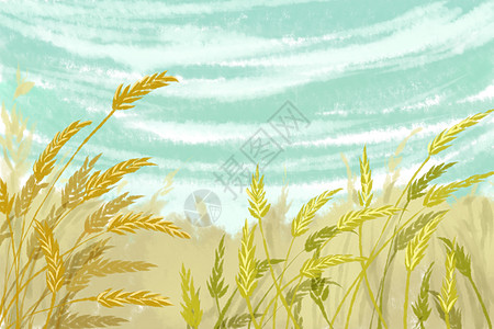 稻田背景图片
