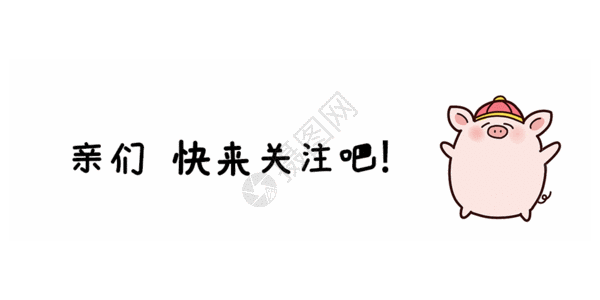 可爱猪形象点击关注 gif图片