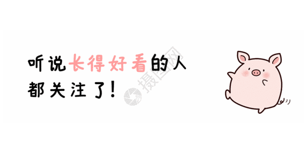 猪形象图片 猪形象素材 猪形象高清图片 摄图网图片下载