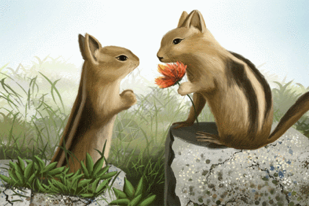 幸福小情侣松鼠的爱情gif高清图片