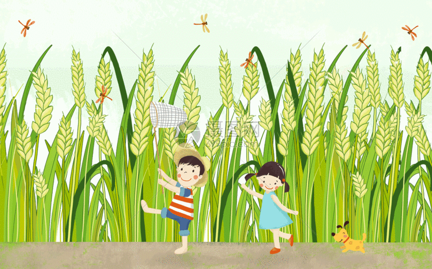 该gif动态图片标题为抓蜻蜓小满节气插画gif,编号:401278124,格式:psd