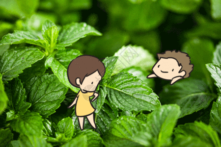 芭蕾女孩gif401218529gifgif  |情人节情侣约会gifgifgif