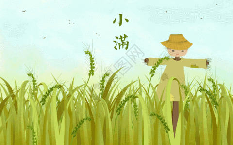二十四节气小满丰收gif图片素材