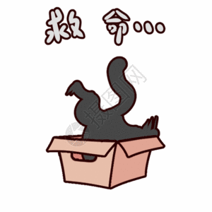 黑色眼镜小黑喵救命动态表情包高清图片