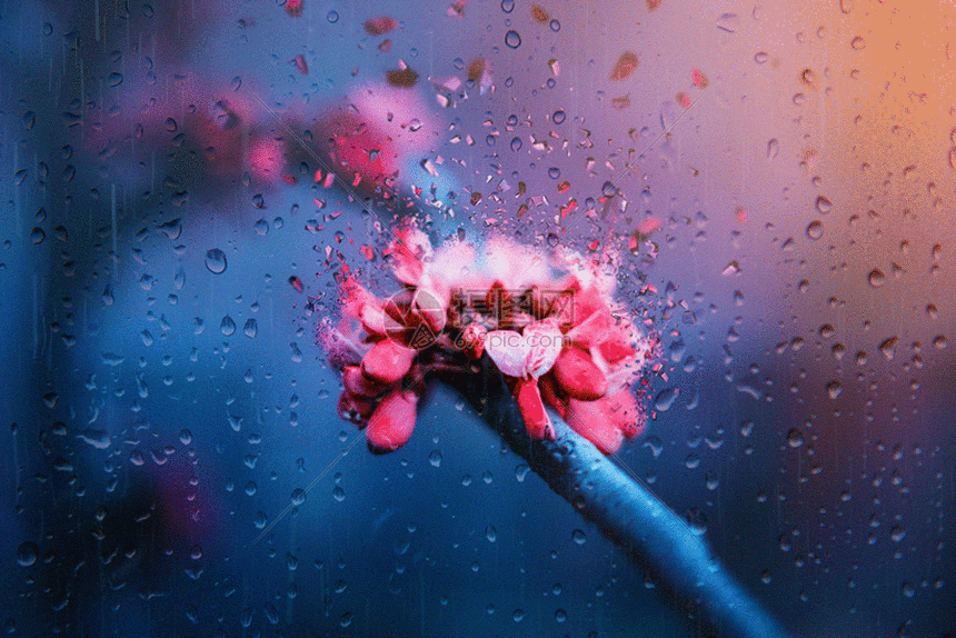 花涅唯美gif动图