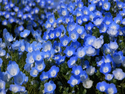 红糖麻花亚麻花摄影GIF高清图片