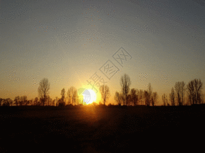 日落剪影GIF图片