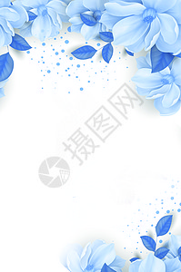 清新花卉背景背景图片