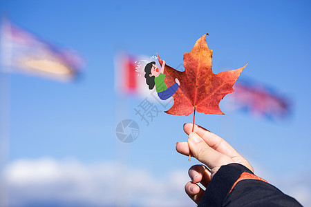 我在加拿大枫叶上高清图片
