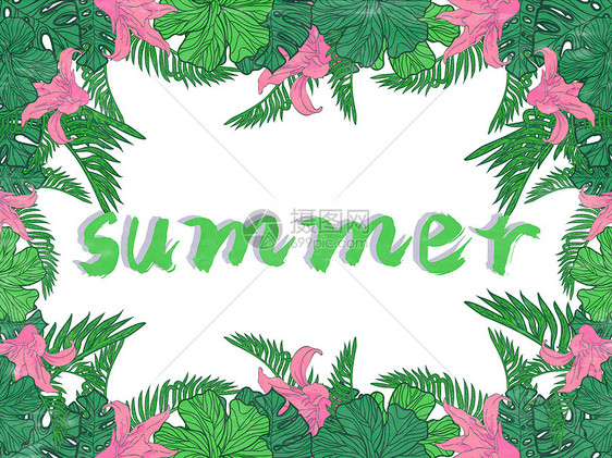 summer夏天植物花卉背景矢量扁平插画图片