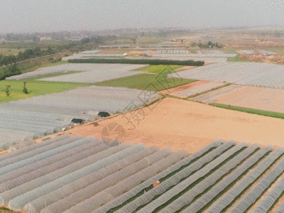 农业大棚4K航拍GIF高清图片