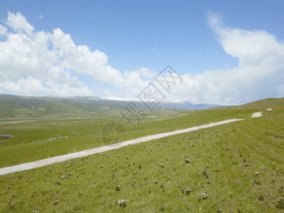 青海湖草原上的公路GIF高清图片