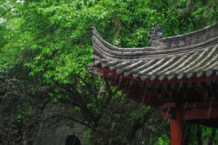 雨建筑雨中小雁塔景区亭子gif高清图片