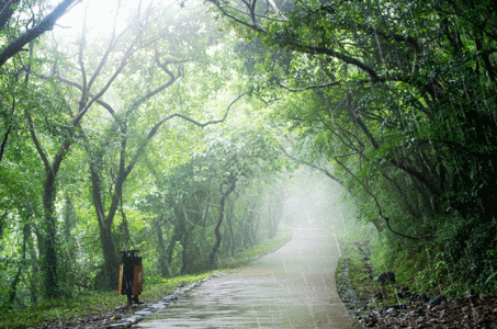 雨 雾雨后的大蜀山gif高清图片