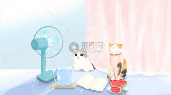 夏天的猫咪图片