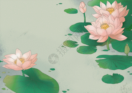中国风荷花插画gif动图图片素材