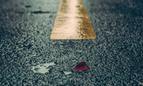 雨季雨中的马路gif高清图片