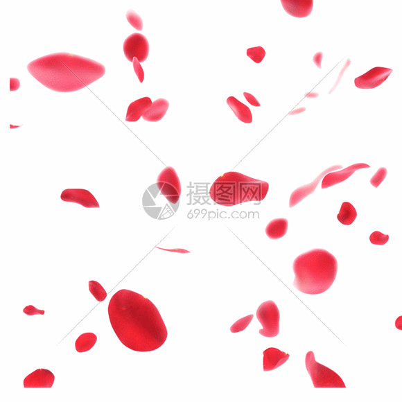 红色玫瑰花瓣gif图片