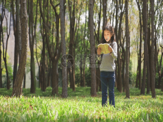 女生站在树林里看书GIF图片