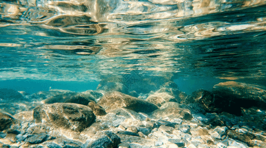水生态水世界gif高清图片