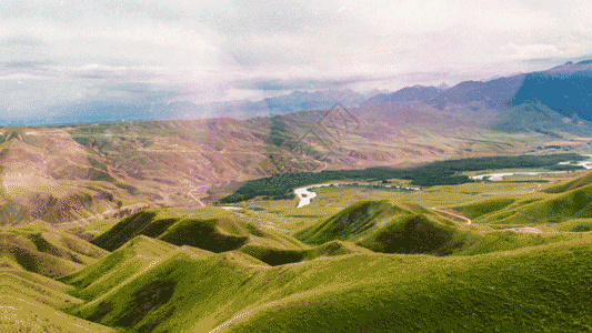 景观草高山喀拉峻人体草原风光GIF高清图片