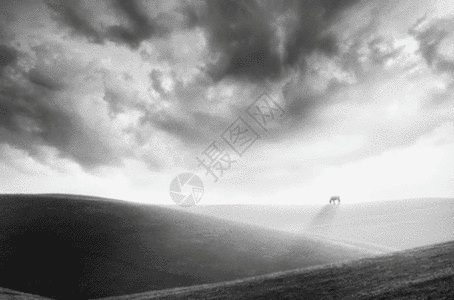 草原上云下的马gif动图图片