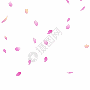 粉色花瓣飘落元素gif图片