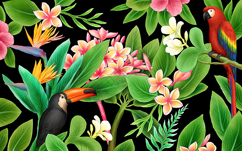 热带植物花鸟高清图片