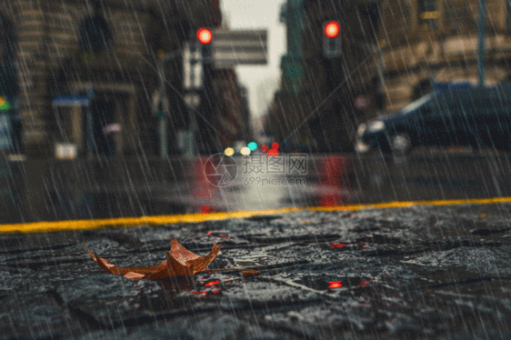 雨中城市gif图片