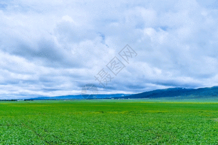 新疆草原自然风光gif动图图片