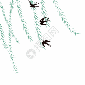 户外风景柳枝和燕子gif高清图片