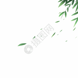 竹叶gifgif树素材高清图片