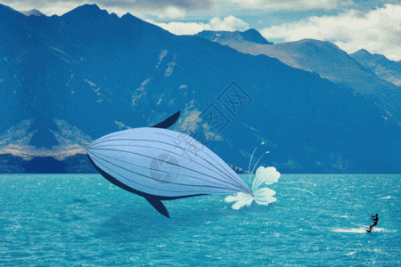 海上冲浪遇到鲸鱼gif图片